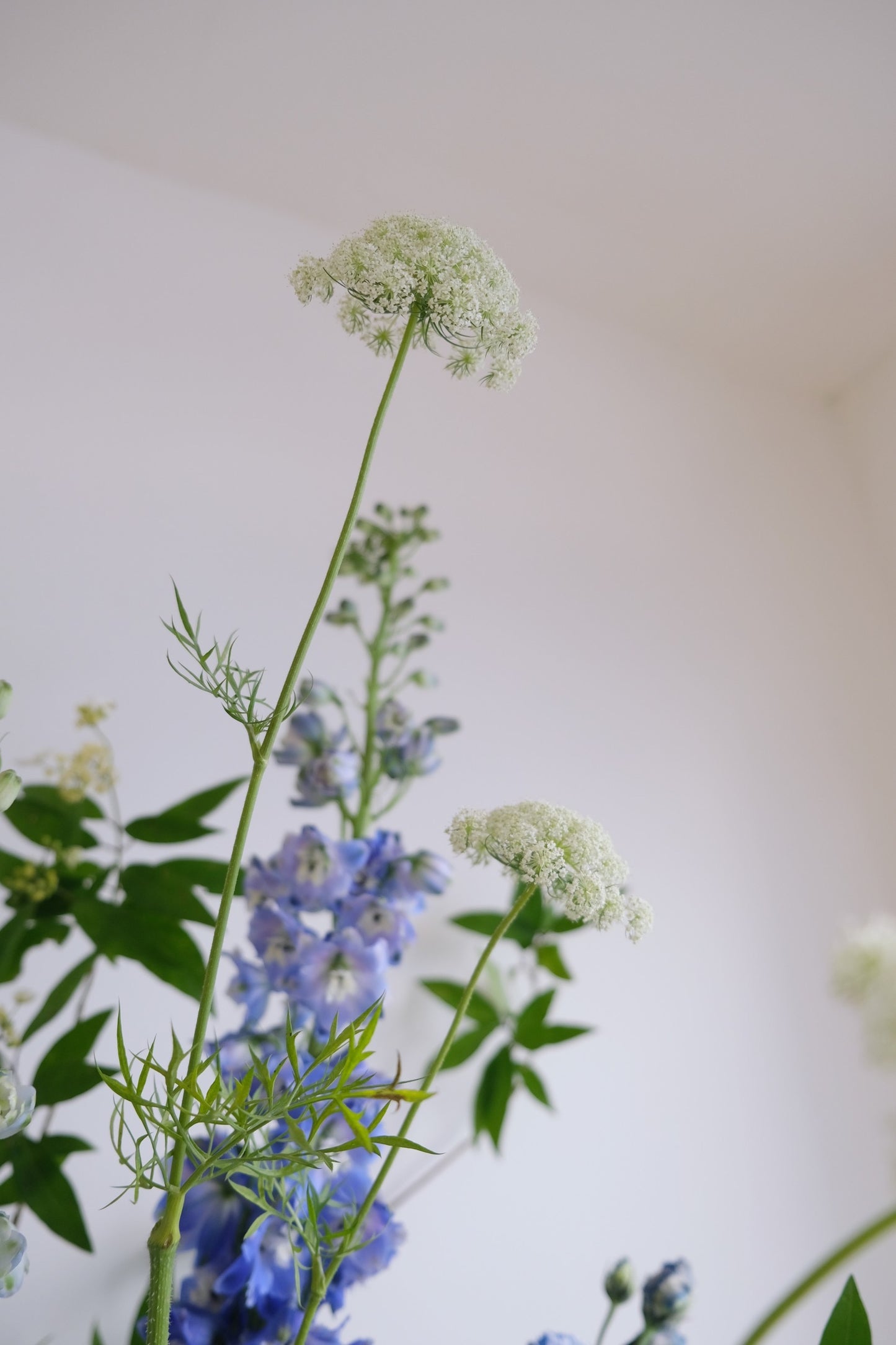 文青藍|高架花籃